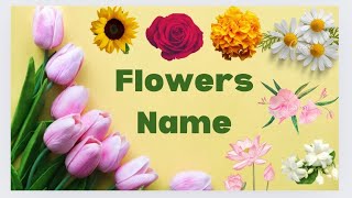 Top 10 Flowers Name  Learn flowers name [upl. by Eojyllib]