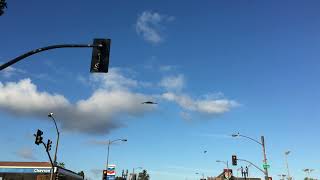 B2 Stealth Bomber flyover Pasadena Rose Parade 2022 [upl. by Yauqaj]