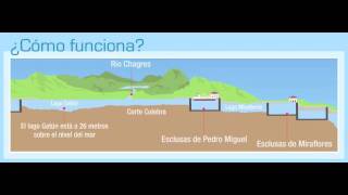 ¿Cómo funcionan las Esclusas del Canal de Panamá [upl. by Necaj554]