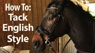 How to Saddle a Horse English Style  Jeffers Equine [upl. by Aicram]