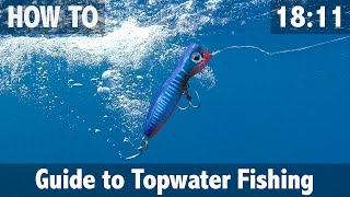 Guide to Topwater Fishing [upl. by Lraep]