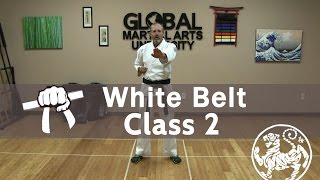 Shotokan Karate Follow Along Class  9th Kyu White Belt  Class 2 [upl. by Lindsey]