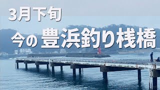 【今の豊浜釣り桟橋】 [upl. by Brenza]