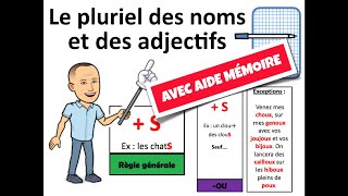 CYCLE 2 ORTHOGRAPHE Français aidemémoire et exercices quotLe pluriel des noms et des adjectifsquot [upl. by Inalaeham]