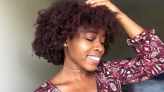 HOW I DYED MY NATURAL HAIR BURGUNDY without BLEACH [upl. by Drus]