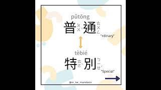 mandarin antonyms 普通vs特別｜反義詞 with SampR Mandarin [upl. by Bailie193]