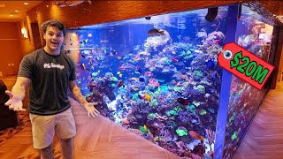 Touring 20 MILLION Dollar REEF AQUARIUM [upl. by Araldo]