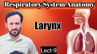 09 Anatomy of larynx  Larynx Anatomy  Membranes ligaments and muscles  Part1 [upl. by Olinde974]