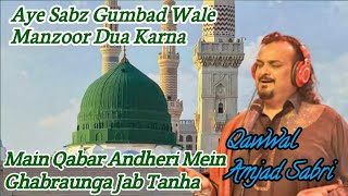 Amjad Sabri Qawwal  Aye Sabz Gumbad Wale Manzoor Dua Karna [upl. by Mcdermott257]