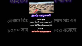 islamic postislamic songislamic bangla statusislamic storyislamic vedioislamic audio [upl. by Onailimixam]