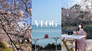 韓國Vlog去釜山賞櫻花🌸膠囊火車🚃釜山打卡景點上集 Cherry Blossom in Busan🌸Sky Capsule Train🚃Busan IG spots Part 1 [upl. by Refanej]