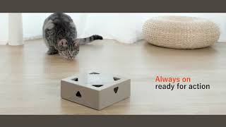 FOFOS ErratiCat Interactive PIR USB Version Cat Toy [upl. by Irep]