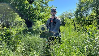 Stihl Fs 561C and Husqvarna 545 RX mowing big grass together  Motocoasa Stihl si Husqvarna [upl. by Tyika359]