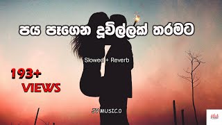 Paya Pagena Duwillak Tharamata  පය පෑගෙන දූවිල්ලක් තරමට  Slowed  Reverb  JV MUSIC  2023 [upl. by Jaylene]