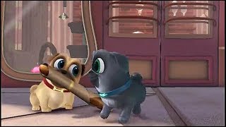 Puppy Dog Pals  The French Toast Connection  New 2018  Disney Chanel [upl. by Lletnuahs503]