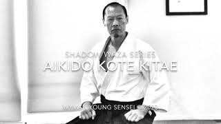 S1 E9 Lockdown Aikido Kote Kitae  Wrist Exercises [upl. by Ettevi]