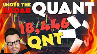 🚨 QUANT  18446 QNT S  INDONESIA LINKS TO RTGS  TX UNDER RADAR QNT QUANTCOIN QUANTCRYPTO [upl. by Hazlip131]