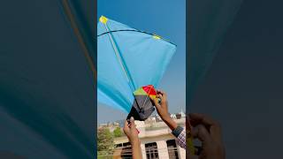 SMALL KITE VS BIG KITE 🤩 shorts youtubeshorts [upl. by Celine710]