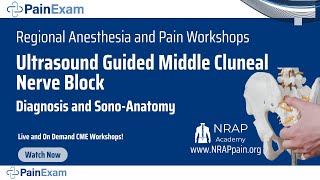 Ultrasound Guided Middle Cluneal Nerve Block and Diagnosis David Rosenblum MD NRAP PainExam [upl. by Boyes]