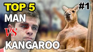 Kangaroo Fights Man  Kangaroo vs Human  Kangaroo Fight  Kangaru 😃 [upl. by Aleac]