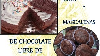 RECETA DE TORTA DE CHOCOLATE  MAGDALENAS DE CHOCOLATE  SIN GLUTEN  SIN TACC [upl. by Eyllib933]