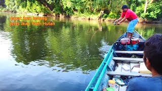 FISHING II Mancing ke Pedalaman Desa Di Kalimantan [upl. by Hannaoj]