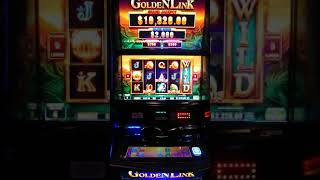 2400 Golden Link feature new Ainsworth slot machines [upl. by Lardner]