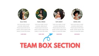 Building A Stylish Team Box With HTML CSS And Bootstrap 5 [upl. by Lah]