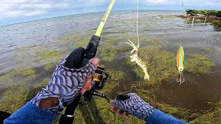 We Found The Fish Stacked Up The Florida Keys  Epi 1 Tarpon Heaven [upl. by Ultima]