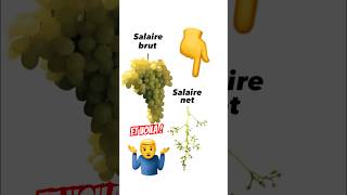 Le salaire NET… Cette BLAGUE 🤦‍♂️😂 Qui a remarqué  🤚 [upl. by Enela]