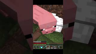 dont let me down minecraft pigminecraft [upl. by Greenleaf]