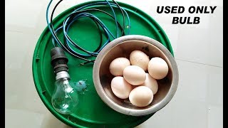 How to Make A Mini Egg Incubator At Home Using Only Bulb [upl. by Ramej]