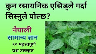 general knowledge samanya gyan nepali gk nepal nepali quiz questionquiz questions in nepali [upl. by Lazor]