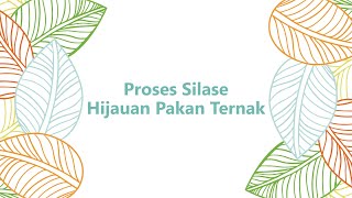 Proses Silase Hijauan Pakan Ternak [upl. by Sirrad863]