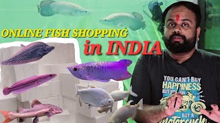 online fish shopping in India  Buying aquarium fish online predatorpowerhouse2323 [upl. by Barncard]