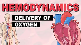 Delivery of Oxygen  Hemodynamics Part 2 [upl. by Eslehc]