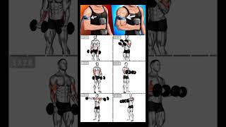 Dumbbell only TRICEP WORKOUT  Dumbbell Workouts Perfect MuscleArms workout at home or gym [upl. by Assyle]