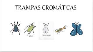 Trampas cromáticas [upl. by Latsirhc]