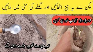 Nursery wali mitti ab khud taiyar Karen  How to make organic potting soil for plants [upl. by Bina]