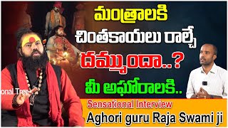 మంత్రాలకి చింతకాయలు రాల్చే దమ్ముందా  Aghori Guru Raja Swami ji  Jakka Anjaneyulu  DevotionalTree [upl. by Thordis]