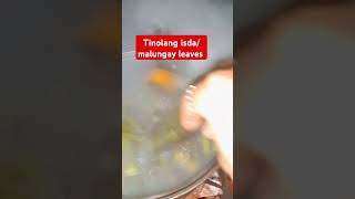 Tinolang isdamalungay leaves cooking ulampinoyrecipe shortvideo foodie [upl. by Arman]