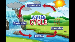 how the water cycle works  hydrological cycle explained [upl. by Valli]