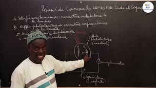 Cours  Terminale S  PC Physique  Résumé de cours sur la lumière Onde et Corpuscule  M Diop [upl. by Asirralc]