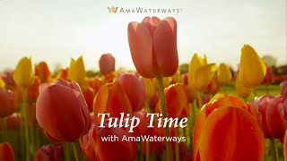 Tulip Time River Cruise with AmaWaterways [upl. by Irpac]