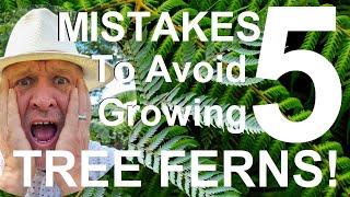 Five Mistakes to Avoid When Growing Tree Ferns  Dicksonia antarctica [upl. by Eng]