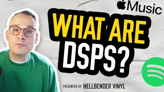 What are DSPs  Record Label Basics 2024 [upl. by Novahs497]