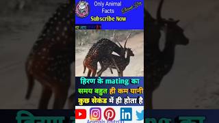 Deer के बारे में रोचक तथ्य 🦌😨 ytshort viral fact animals trending shortfeed [upl. by Pentha489]