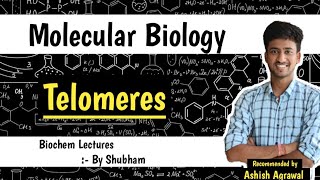 Telomere amp Telomerase  Molecular Biology  Biochemistry lectures [upl. by Ala]