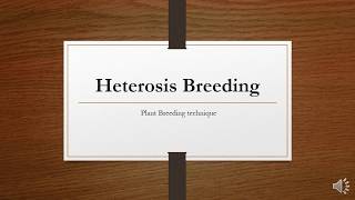 Heterosis introduction [upl. by Mulderig]