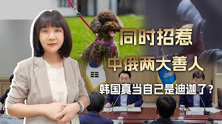 和中国对决？警告俄罗斯？知道韩国是泰迪，不知的还以为它是迪迦 [upl. by Firahs]